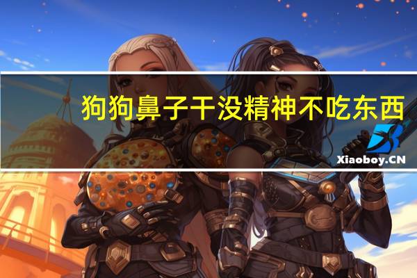 狗狗鼻子干没精神不吃东西