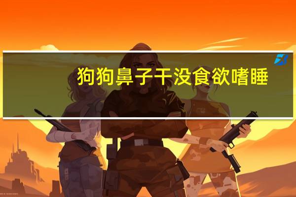 狗狗鼻子干没食欲嗜睡