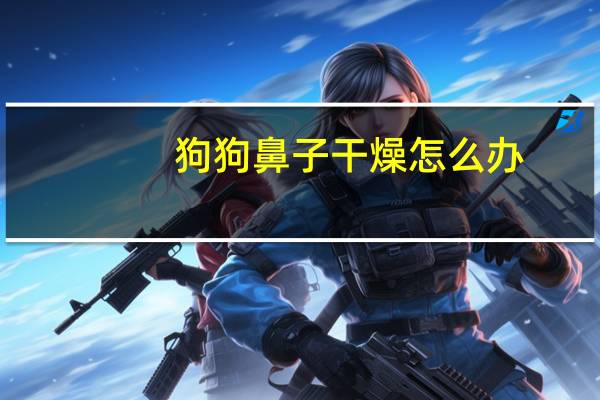 狗狗鼻子干燥怎么办
