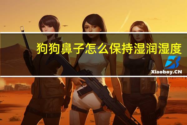 狗狗鼻子怎么保持湿润湿度