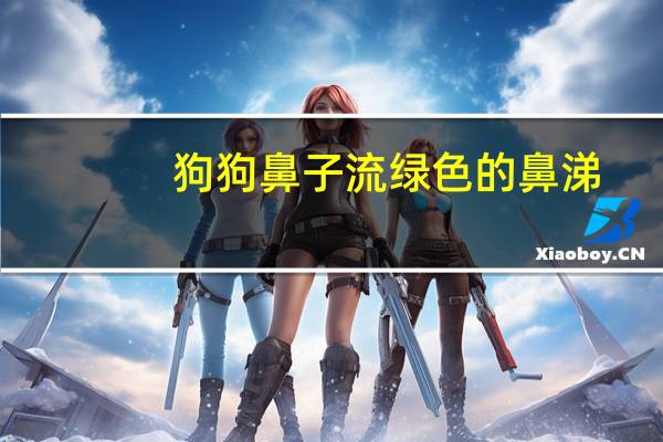 狗狗鼻子流绿色的鼻涕