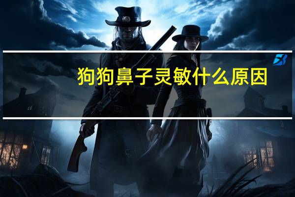狗狗鼻子灵敏什么原因