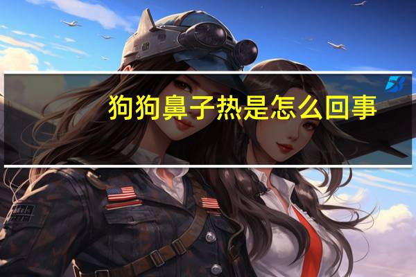 狗狗鼻子热是怎么回事