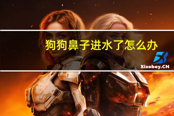 狗狗鼻子进水了怎么办