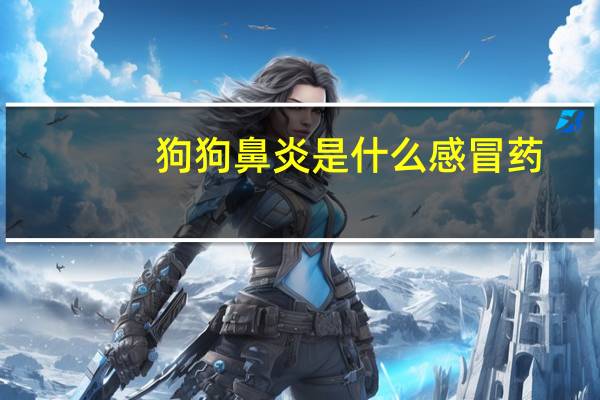 狗狗鼻炎是什么感冒药