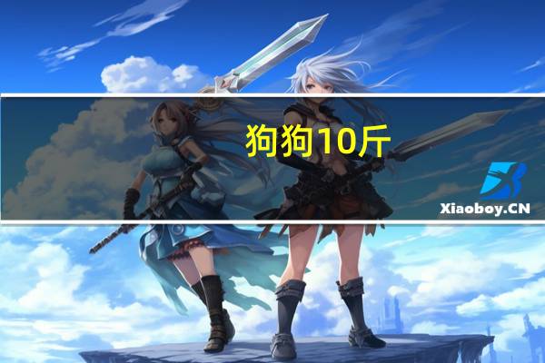 狗狗10斤