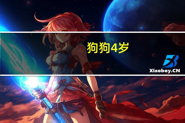 狗狗4岁