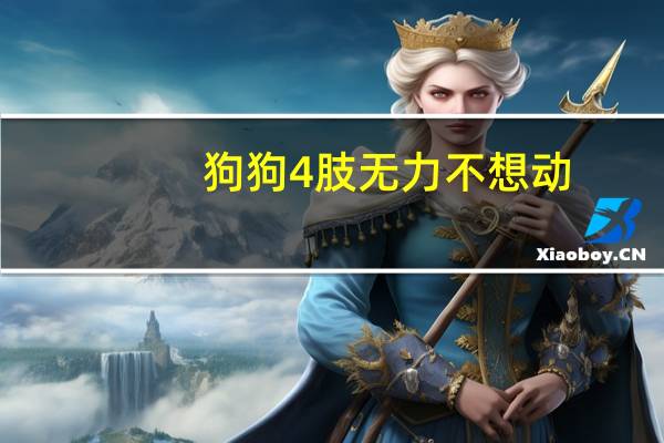 狗狗4肢无力不想动