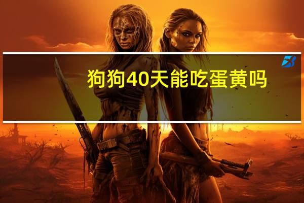狗狗40天能吃蛋黄吗
