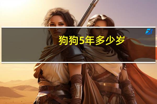 狗狗5年多少岁