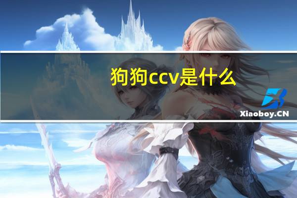 狗狗ccv是什么