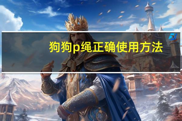 狗狗p绳正确使用方法