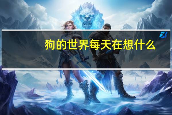 狗的世界每天在想什么