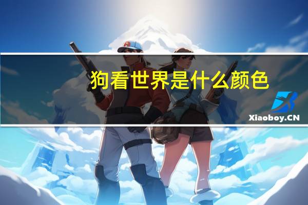 狗看世界是什么颜色