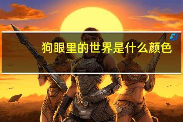 狗眼里的世界是什么颜色