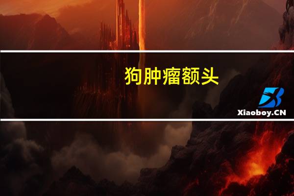 狗肿瘤额头