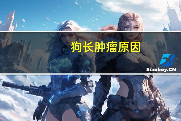 狗长肿瘤原因