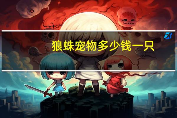 狼蛛宠物多少钱一只