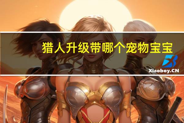 猎人升级带哪个宠物宝宝