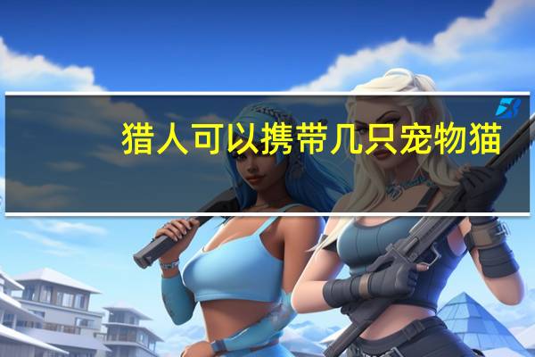 猎人可以携带几只宠物猫