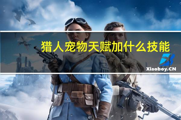 猎人宠物天赋加什么技能