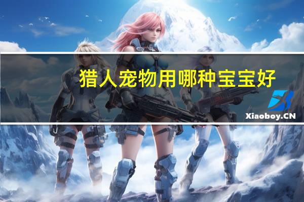 猎人宠物用哪种宝宝好
