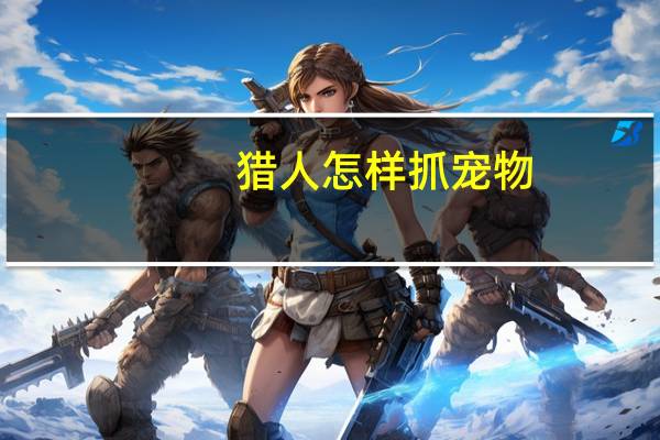 猎人怎样抓宠物