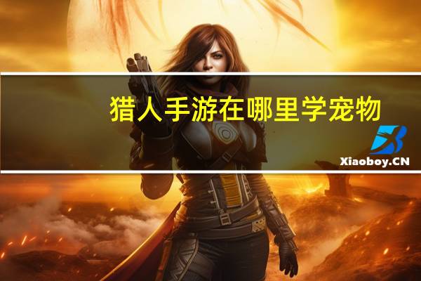 猎人手游在哪里学宠物