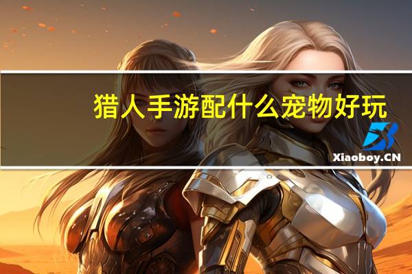 猎人手游配什么宠物好玩