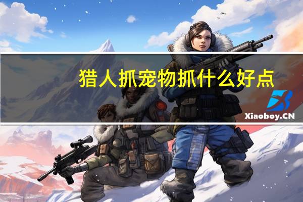 猎人抓宠物抓什么好点