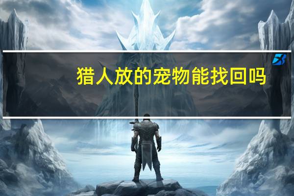 猎人放的宠物能找回吗