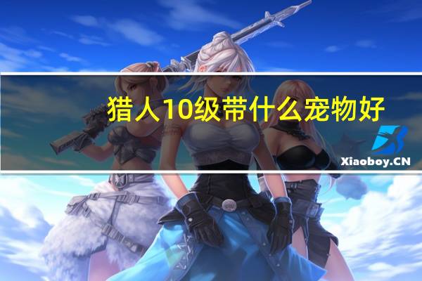 猎人10级带什么宠物好