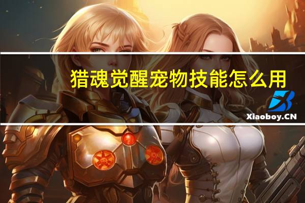 猎魂觉醒宠物技能怎么用