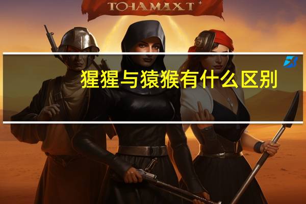 猩猩与猿猴有什么区别