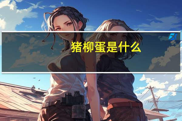 猪柳蛋是什么