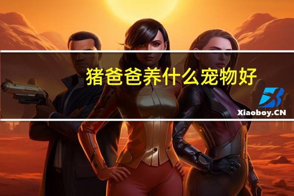 猪爸爸养什么宠物好