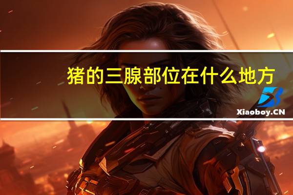 猪的三腺部位在什么地方