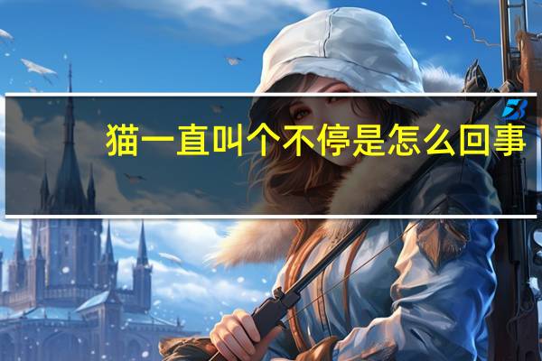 猫一直叫个不停是怎么回事