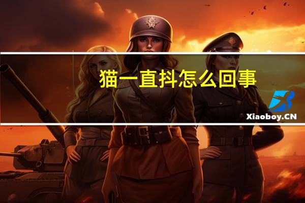 猫一直抖怎么回事