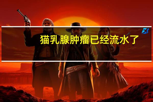 猫乳腺肿瘤已经流水了