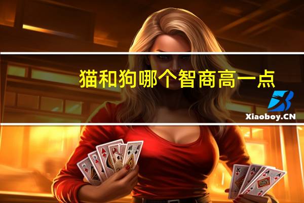 猫和狗哪个智商高一点