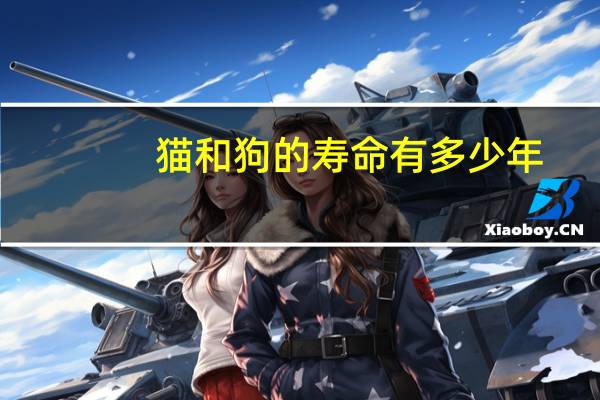 猫和狗的寿命有多少年
