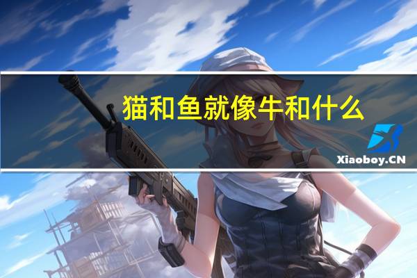 猫和鱼就像牛和什么