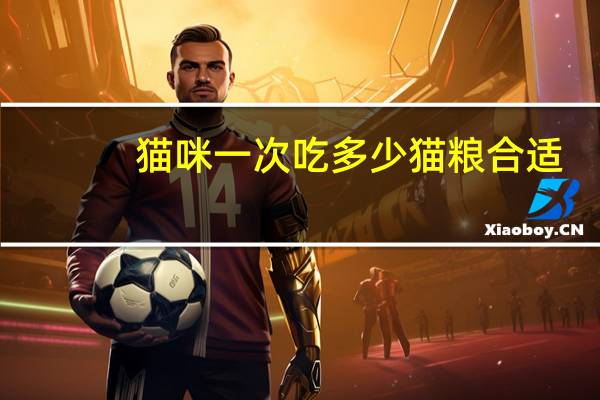 猫咪一次吃多少猫粮合适