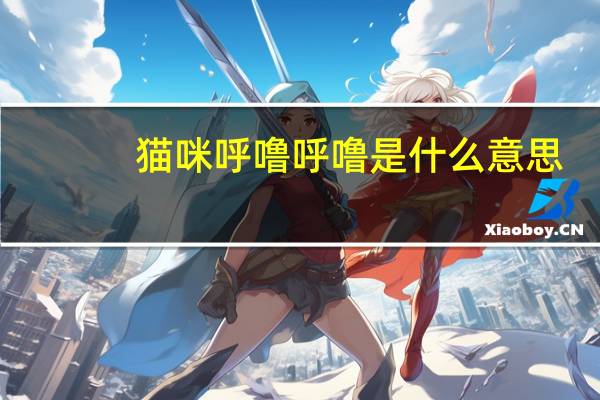 猫咪呼噜呼噜是什么意思