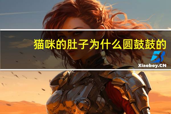 猫咪的肚子为什么圆鼓鼓的