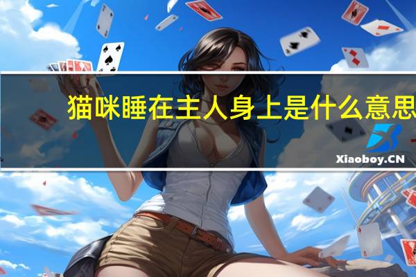 猫咪睡在主人身上是什么意思