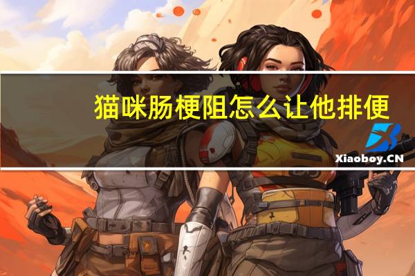猫咪肠梗阻怎么让他排便
