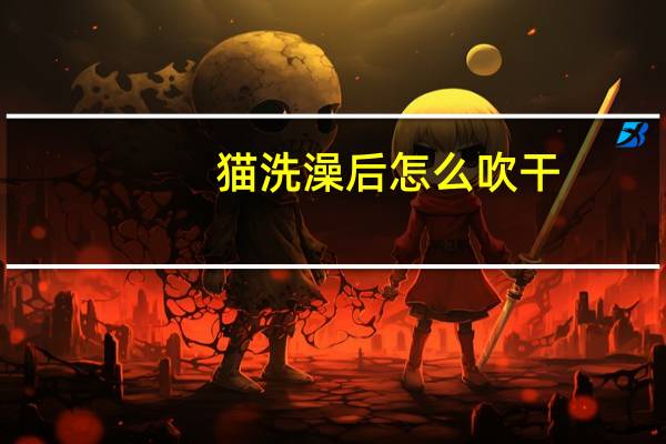 猫洗澡后怎么吹干