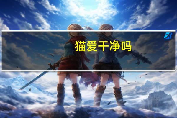 猫爱干净吗